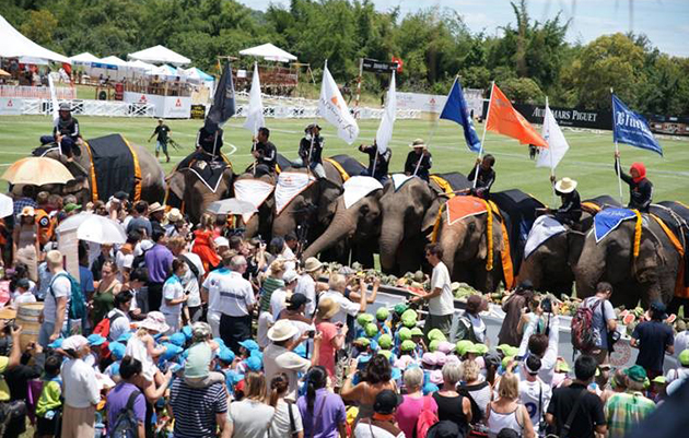 elephant polo 7