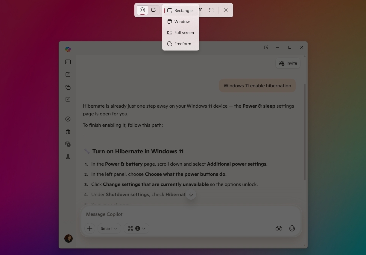 Snipping Tool screen capture