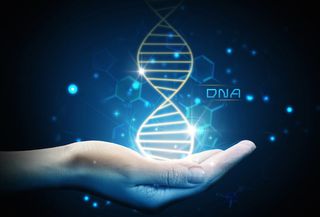 In an artist's image of DNA, a person's glowing hand hold a strand of genetic material.