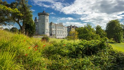 Dromoland Castle surrounded by greenery