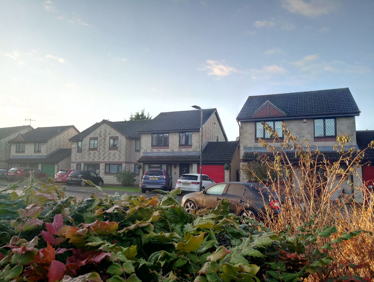 With HDR mode on, outdoor shots retain good color reproduction, but that ever-present image processing still prevails.
