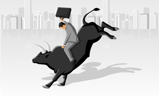 Wall Street Bull