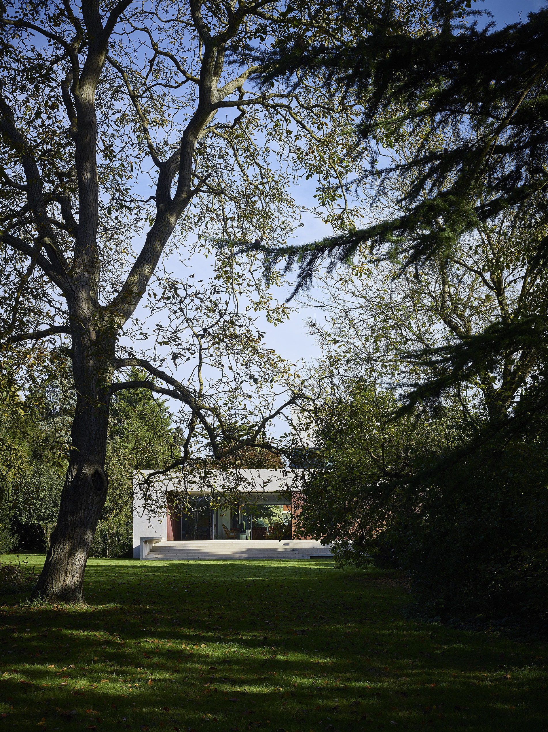 Pheasants house by amin taha