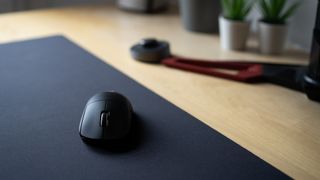 A mouse sitting on a mouse pad