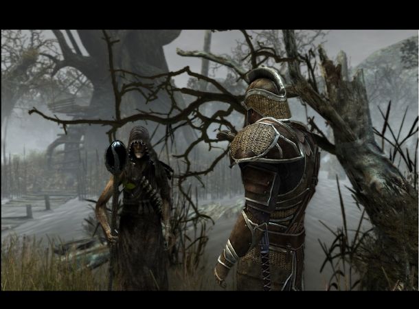 Two Worlds 2 witch