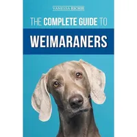 The Complete Guide To Weimaraners