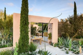 Cactus garden with pergola designed by Garden Club