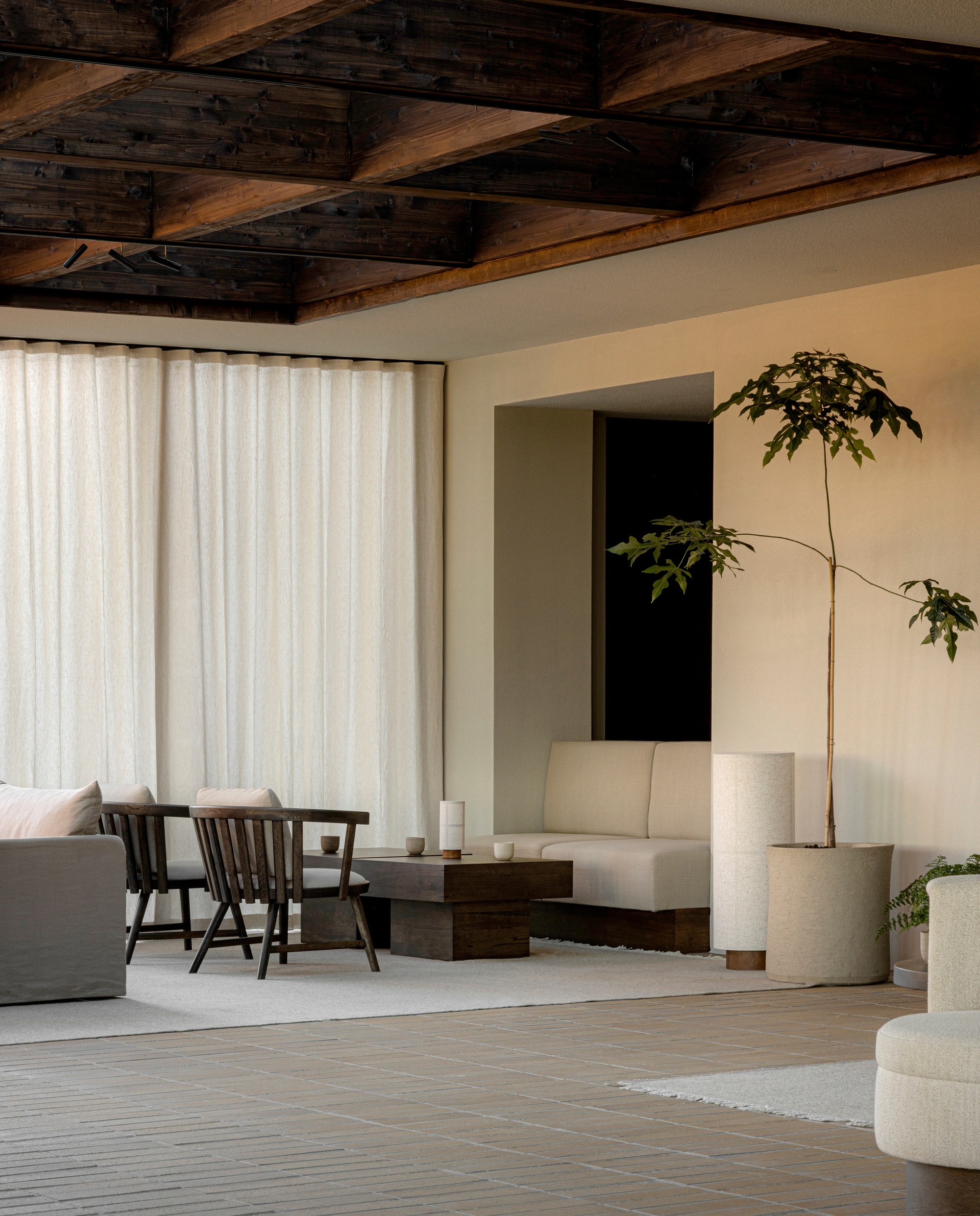 A scandi living room with a neutral palette, white sofa, wooden chairs, and a large indoor tree