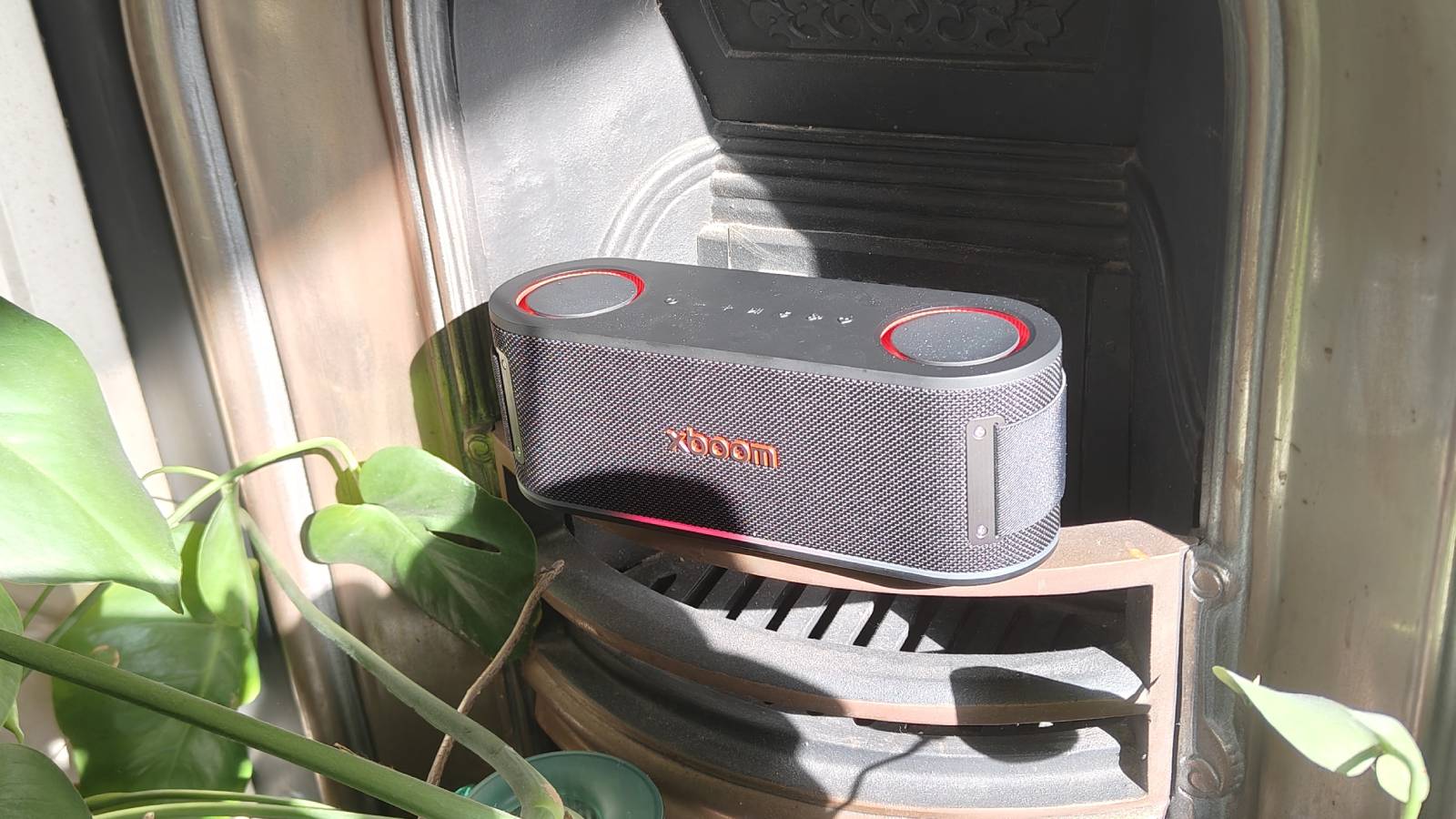 The LG xboom Bounce by a leafy plant on a shelf.