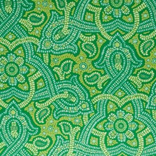 samba paisley fabric