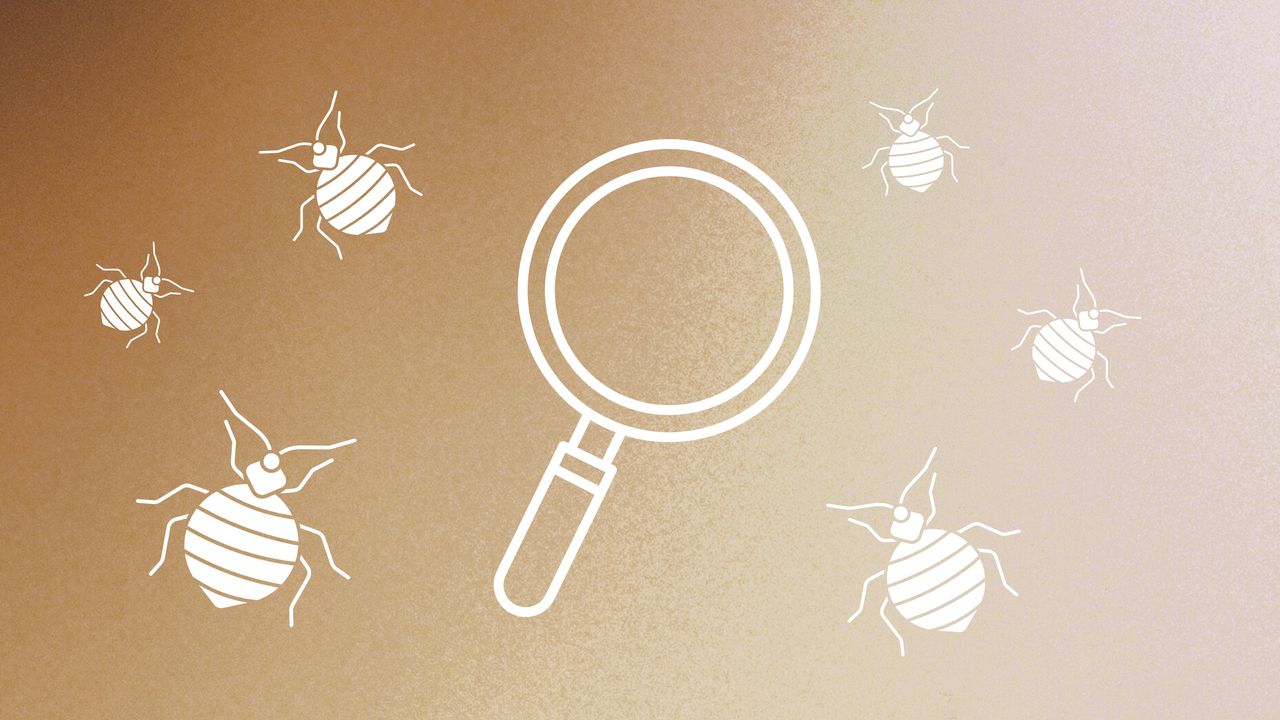 Graphic of bed bugs and magnifying glass on brown ombre background