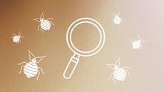 Graphic of bed bugs and magnifying glass on brown ombre background