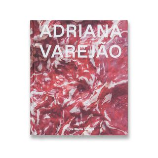 art books Adriana Varejão