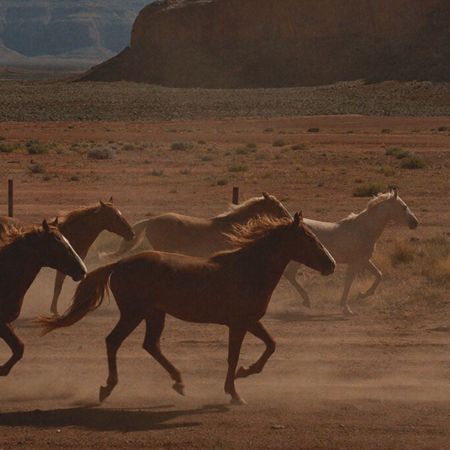 Route 66 - Wild horses galloping across dusty desert landscape with roc - TVS.jpg