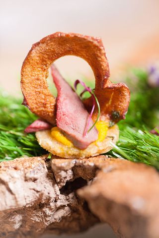 Sugar and Spice's Autumn hazlenut canape with woodpigeon, one of the canapes entered in the 2017 Country Life and Plain English canape competition