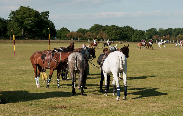 2015 "Ham Polo Club." " The re-emergence of Polo in Richmond Park".