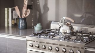 stainless steel hob with a stainless steel kettle on it