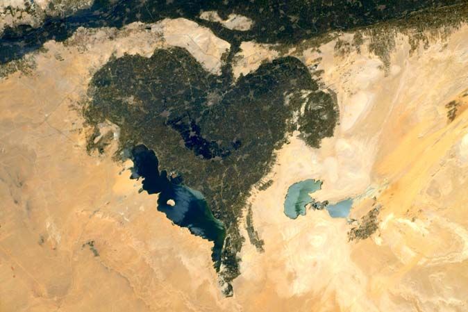 expedition 65