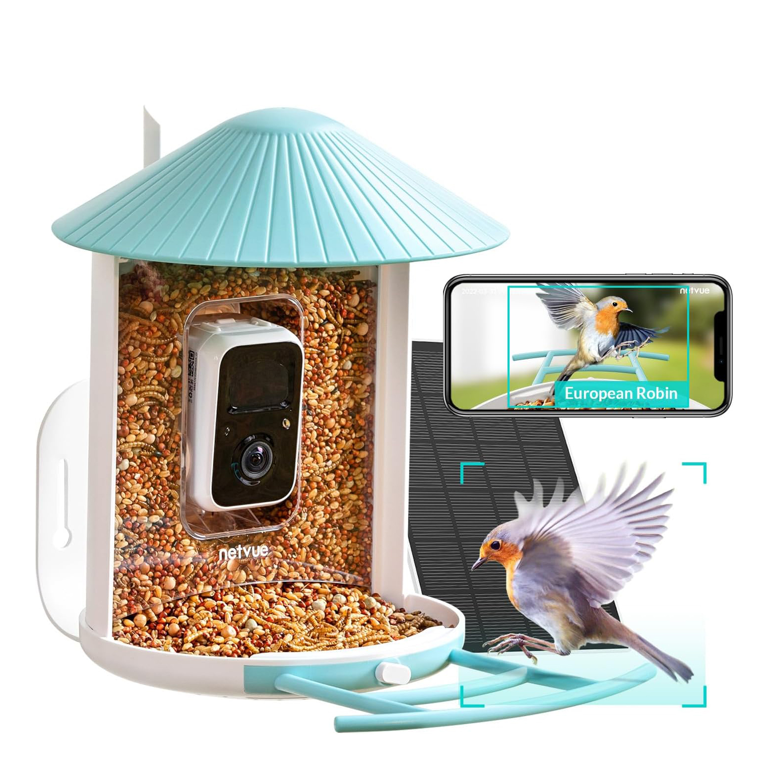 Netvue Birdfy دوربین تغذیه پرنده مورد علاقه ما است و اکنون بیش از ۳۰ درصد تخفیف دارد