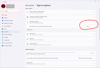 Windows 11 settings - Windows Hello PIN