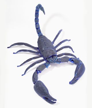 Jewellery scorpion by Matthew Campbell Laurenza