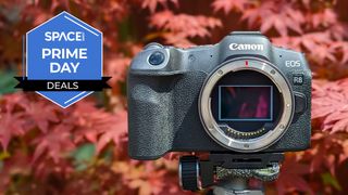 The Canon EOS R8 against some red leaves with a blue Space.com Prime Day badge in the upper left corner.