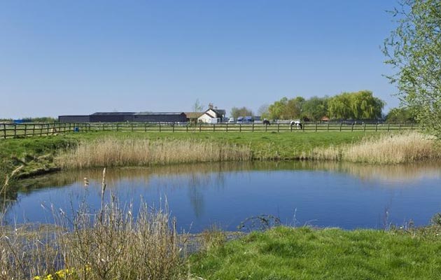 Low Farm