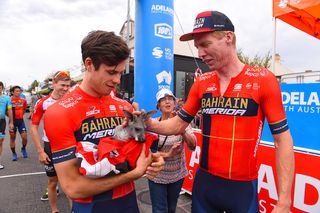 What shall we call him? New Bahrain-Merida teammates Phil Bauhaus and Marcel Sieberg bond over a baby joey at the 2019 Tour Down Under