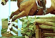 indoor-eventing.jpg