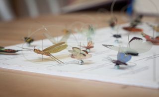 On using real insects for inspiration, the duo says that ‘referring to reality means to us to create a closer connection to the natural world and to highlight it’.