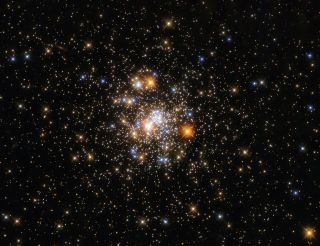 The dazzling globular cluster NGC 6717 sparkles in the constellation Sagittarius in this view from the Hubble Space Telescope released on Sept. 6, 2021.