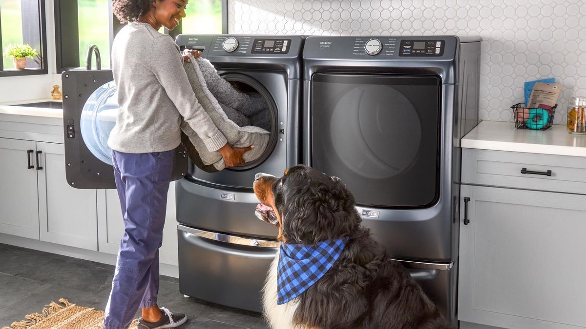 Woman and dog in front of washer and dryer