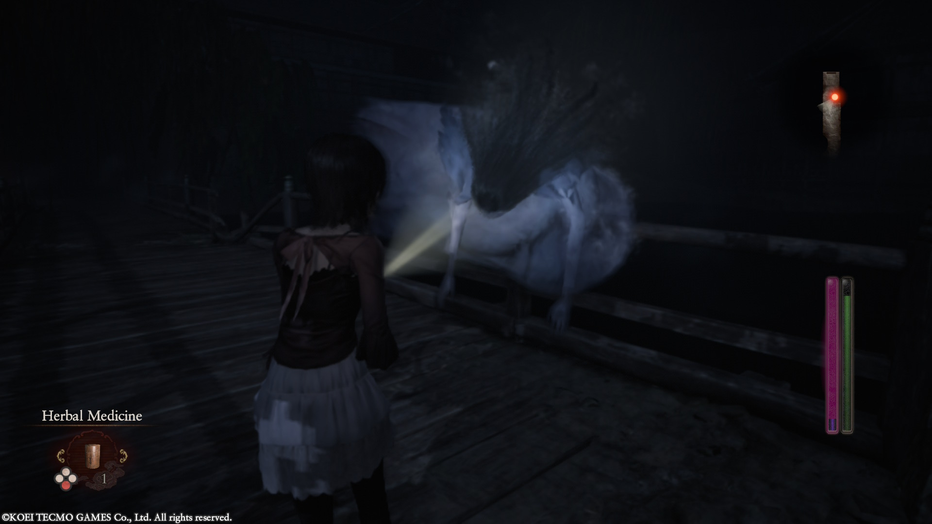 Fatal Frame II Crimson Butterfly remake