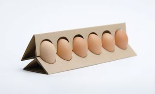 Egg packaging