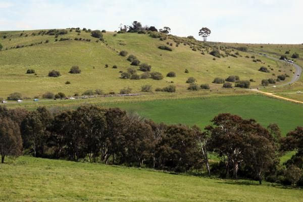 The route is looking a whole lot greener that it has in previous years after consistent rain over the last 12 months.