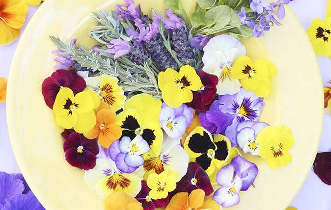 edible flowers