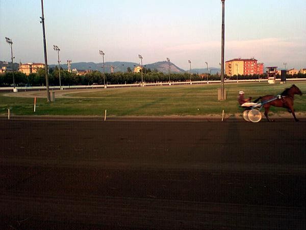 An evening out at the horse track.