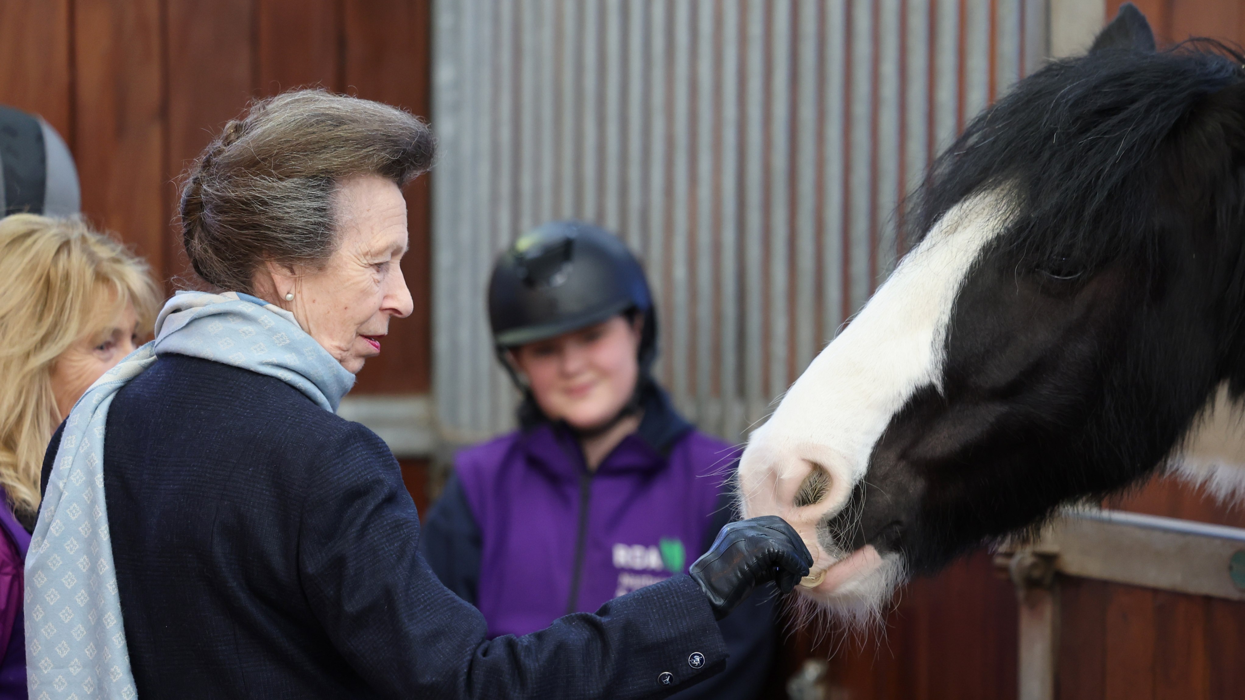 Princess Anne, Princess Royal feeds a horse during her visit to the opening of the Reaseheath Equestrian College on January 30, 2024