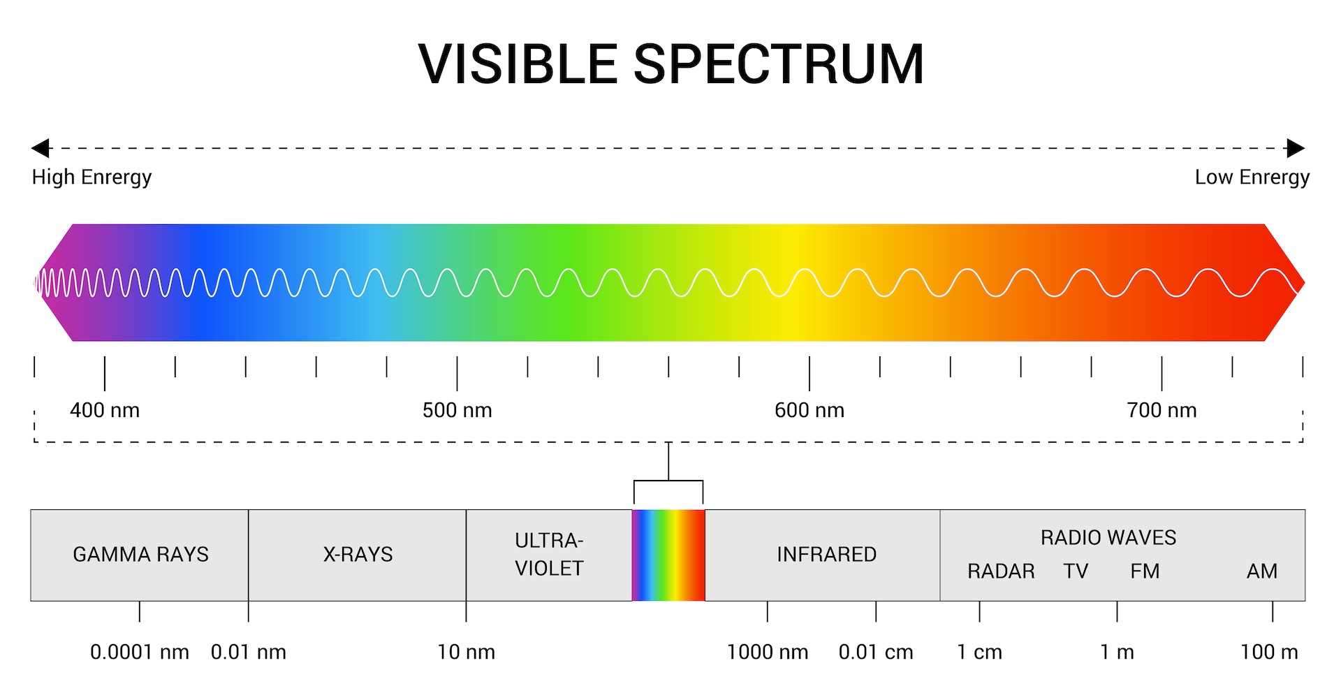 A diagram showing the visible light spectrum