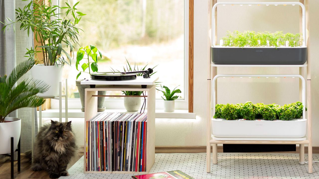 hydroponic gardening unit in living room