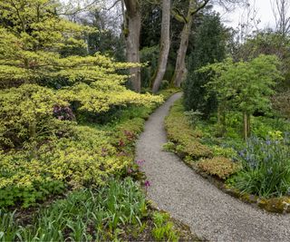 Pea gravel garden path with stone edging