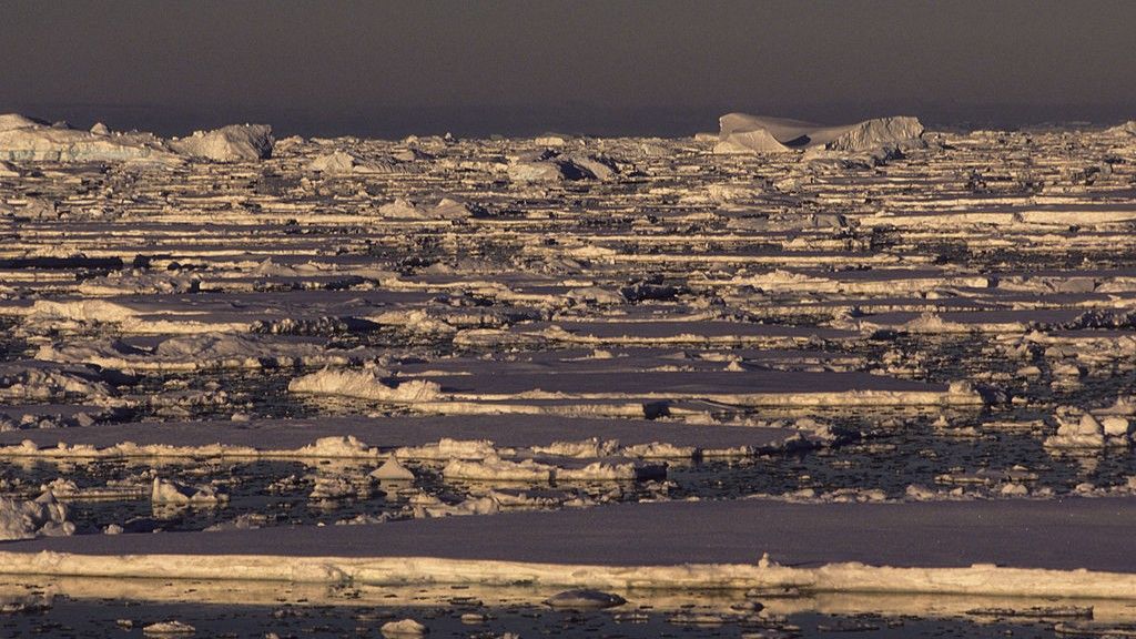 Antarctica’s sudden sea ice loss is one of the most extreme and confusing events in the modern climate record. Scientists now know why it's happening.