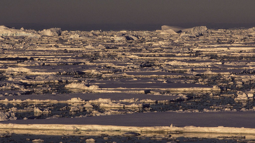 Sea ice in Antarctica under golden light.