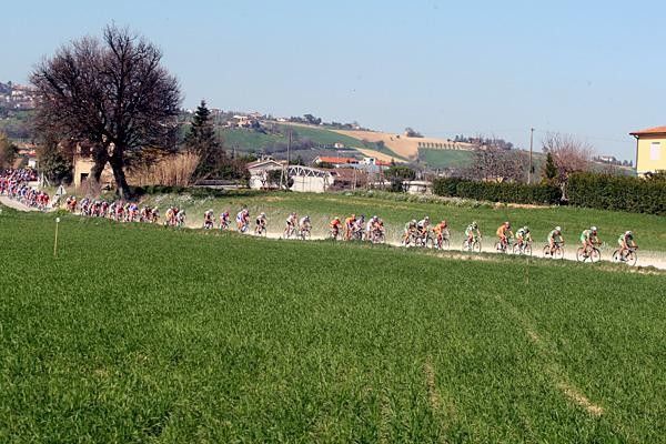CSF Group Navigare leads through some green fields.