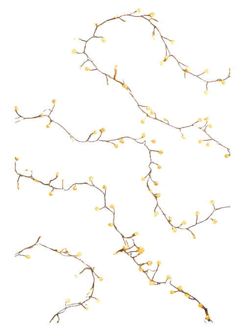 Terrain Pearl String Lights