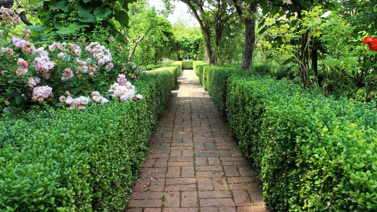 paving pattern on cottage garden path