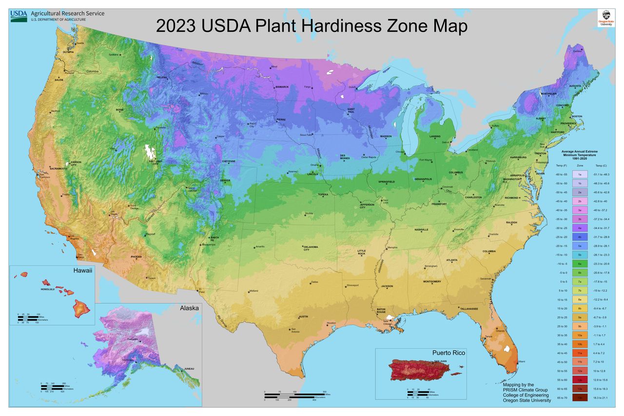 A color coded map of the United States showing USDA plant hardiness zones