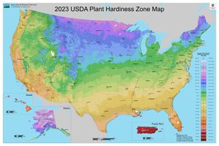 A color coded map of the United States showing USDA plant hardiness zones