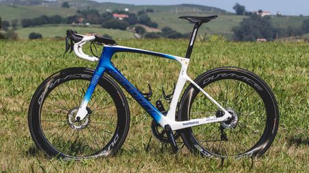 Matteo Trentin's custom-painted Scott Foil RC Disc in European champion colours
