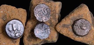 The four ancient coins that volunteers and archaeologists recovered during the excavation.